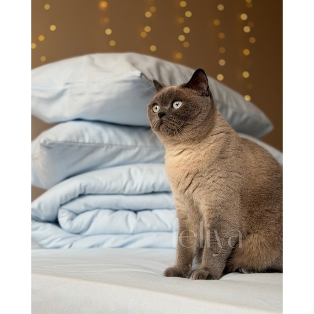 Фланель Блакитна
